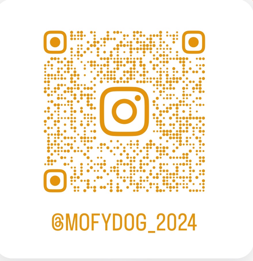 https://www.instagram.com/mofydog_2024/